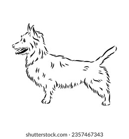 Decorative outline portrait of Dog Australian Terrier, vector