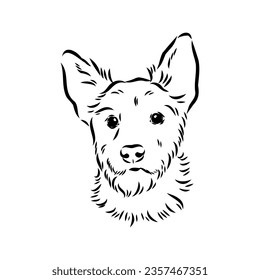 Decorative outline portrait of Dog Australian Terrier, vector