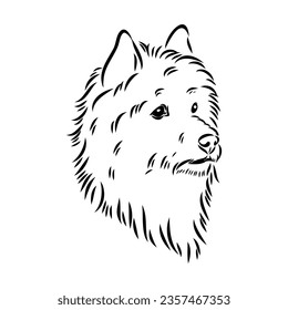 Decorative outline portrait of Dog Australian Terrier, vector