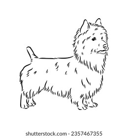 Decorative outline portrait of Dog Australian Terrier, vector