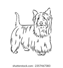 Decorative outline portrait of Dog Australian Terrier, vector
