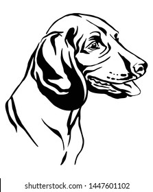 Decorative outline portrait of Dog Bavarian Mountain Hound looking in profile, vector illustration in black color isolated on white background. Image for design and tattoo. 