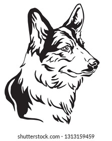 Decorative outline portrait of Dog Welsh Corgi looking in profile, vector illustration in black color isolated on white background. Image for design and tattoo. 