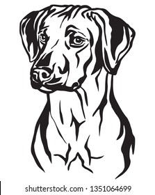 Decorative outline portrait of Rhodesian Ridgeback Dog looking in profile, vector illustration in black color isolated on white background. Image for design and tattoo. 