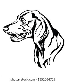 Decorative outline portrait of Weimaraner Dog looking in profile, vector illustration in black color isolated on white background. Image for design and tattoo. 