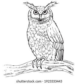 Decorative owl sitting on a branch, on a white background
