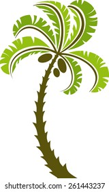 Decorative palm tree