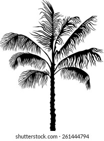 Decorative palm tree