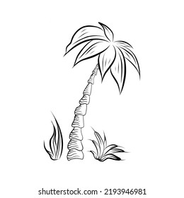 Decorative palm tree hand drawn in doodle style