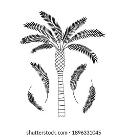 Decorative palm tree leaves isolated illustration. Jungle plant black and white childish graphic drawing Perfect for one colour silk screen printing t-shirt design
