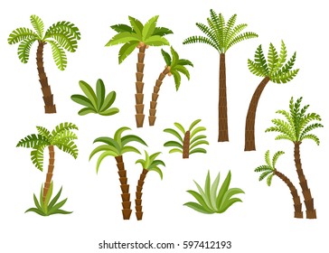 Decorative palm trees set.