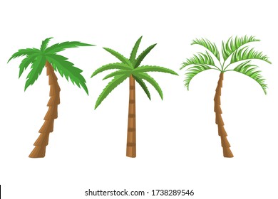 Dekorative Palmen.  Tropisch-grüne Blätter, Strandpalmen und Retro-Kalifornien Grün. 