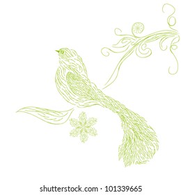 Decorative paradise bird on isolated background