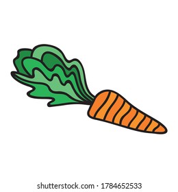 Decorative pattern carrot. Vector illustration