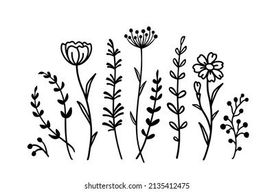 decorative pattern with flowers, branches, herbs silhouettes