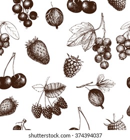 Decorative pattern with hand drawn vintage wild and garden berries. Vintage fruit and berry seamless background isolated on white