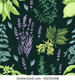 Decorative pattern image of aromatic herbs. Hand drawing. Seamless for fabric design, gift wrapping paper and printing and web projects.