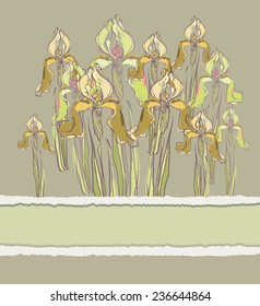 Decorative pattern invitation with Iris flowers, vector illustration. Retro invitation card.