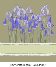 Decorative pattern invitation with Iris flowers, vector illustration. Retro invitation card.