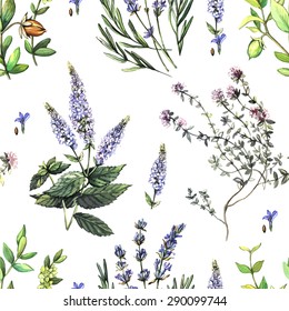 Decorative pattern with medicinal plants.  Hand painting. Watercolor. Seamless pattern for fabric, paper and other printing and web projects.