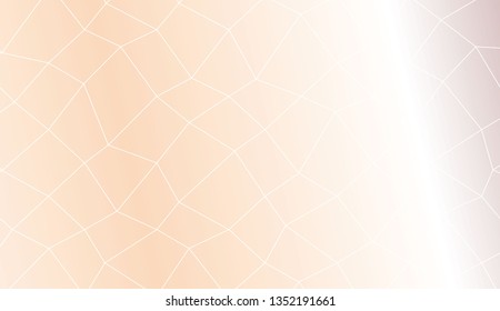 Decorative pattern with polygonal mesh style. For textures or wallpaper. Vector illustration. Creative gradient color