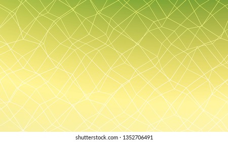 Decorative pattern with polygonal mesh style. Decorative design for your idea. Vector illustration