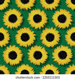 Decorative Pattern Sunflower with Green Background and Shadow