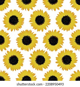 Decorative Pattern Sunflower with White Background