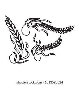 Decorative pattern wheat. Vector illustration