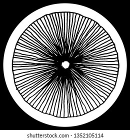 Decorative patterns for plates prints for t-shirts logo ornament mandala flat vintage elements