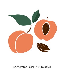 Decorative Peach With Leaves, Half A Peach With A Stone And A Stone From The Fruit. Fruit Elements In Pastel Colors Isolated On White. Stylized Trendy Cut Out Peach For Home Decor. Vector Illustration