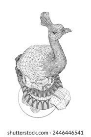 Decorative peacock. Adult anti-stress coloring page. Black and white hand drawn doodle for coloring book. Vector Black and White Floral Peacock Illustration