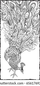 Decorative peacock.Line art drawing. Coloring page for adult and older children