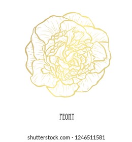 Decorative peony flower, design element. Can be used for cards, invitations, banners, posters, print design. Golden flowers