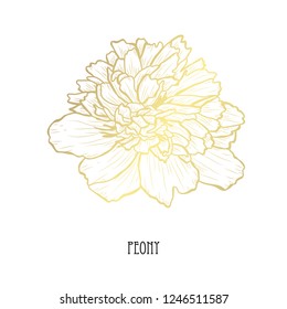 Decorative peony flower, design element. Can be used for cards, invitations, banners, posters, print design. Golden flowers