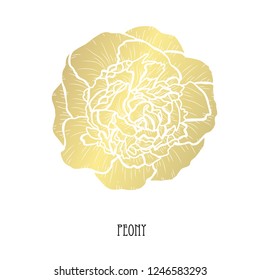 Decorative peony flower, design element. Can be used for cards, invitations, banners, posters, print design. Golden flowers