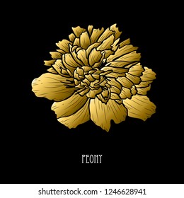 Decorative peony flower, design element. Can be used for cards, invitations, banners, posters, print design. Golden flowers