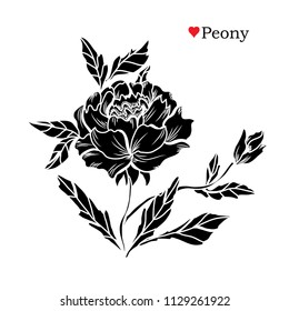 Decorative  peony flowers, design elements. Can be used for cards, invitations, banners, posters, print design. Floral background in line art style