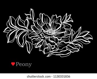 Decorative  peony flowers, design elements. Can be used for cards, invitations, banners, posters, print design. Floral background in line art style