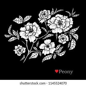 Decorative peony  flowers, design elements. Can be used for cards, invitations, banners, posters, print design. Floral background in line art style