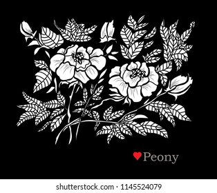 Decorative peony  flowers, design elements. Can be used for cards, invitations, banners, posters, print design. Floral background in line art style