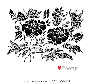 Decorative peony  flowers, design elements. Can be used for cards, invitations, banners, posters, print design. Floral background in line art style