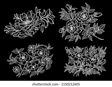 Decorative peony flowers, design elements. Can be used for cards, invitations, banners, posters, print design. Floral background in line art style