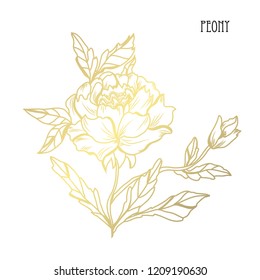 Decorative peony flowers, design elements. Can be used for cards, invitations, banners, posters, print design. Golden flowers