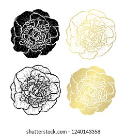 Decorative peony flowers, design elements. Can be used for cards, invitations, banners, posters, print design. Golden flowers