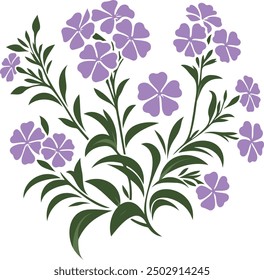 Decorative Phlox flowers symbol, Phlox bifida Flower (Sand Phlox) Native Savanna Wildflower of North America