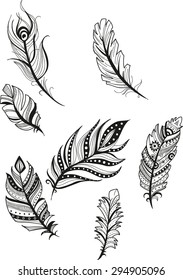 decorative picture feathers of birds in cartoon style
