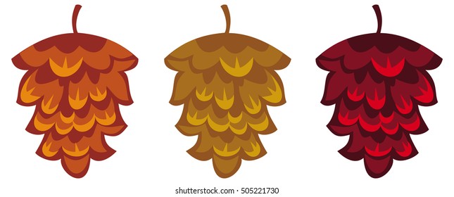 Decorative pine-cones isolated on a white background. Vector clip art. 