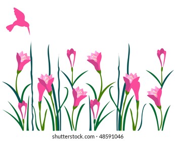 Decorative pink color floral, vector illustration