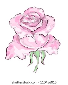 Decorative pink rose drawn by hand on graphic tablet. Monochrome hatching and colorful transparent strokes, eps 10 vector illustration